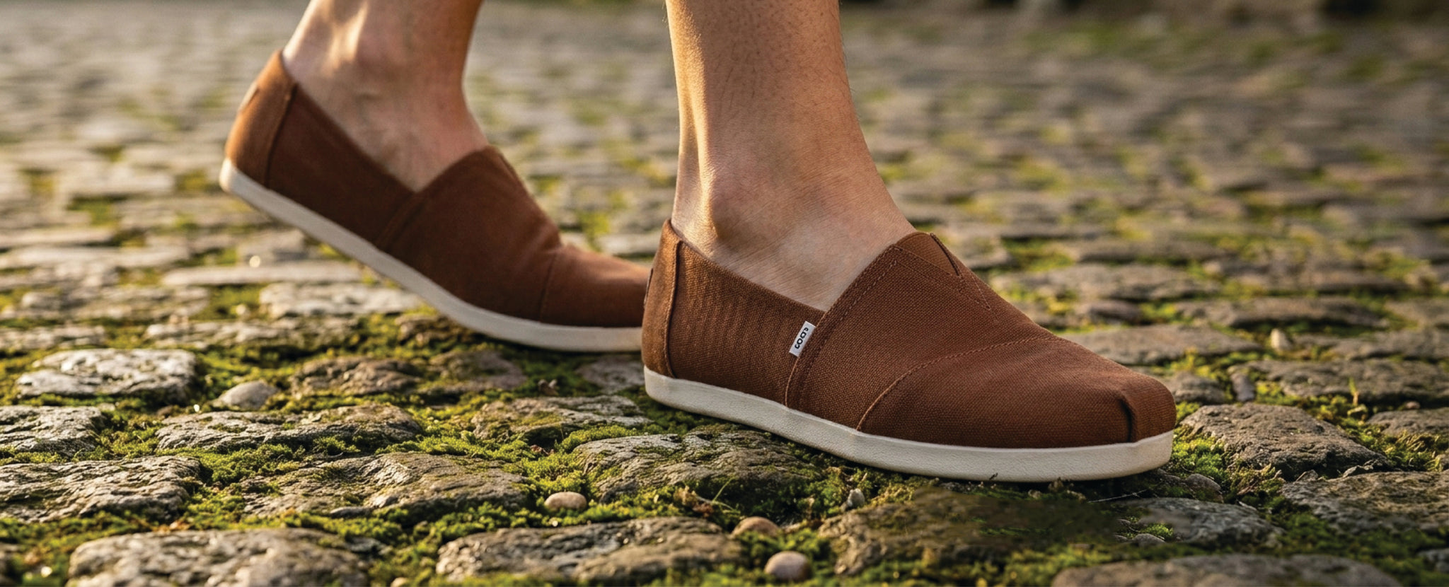 Do Podiatrists Approve? What Foot Experts Say About LoQo Alps